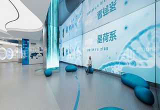 新河比较好的网站建设展示