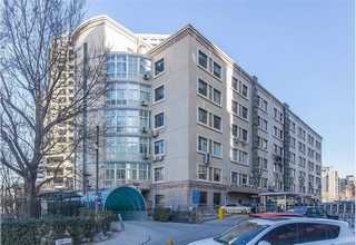 上海工业碎纸机批发